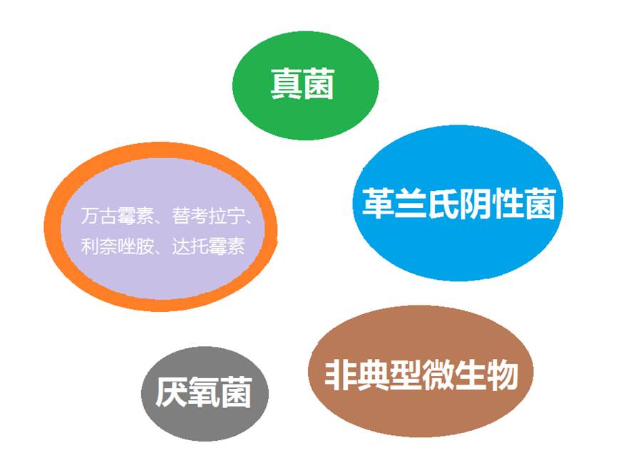 看图“话”抗菌谱，赶紧收藏！