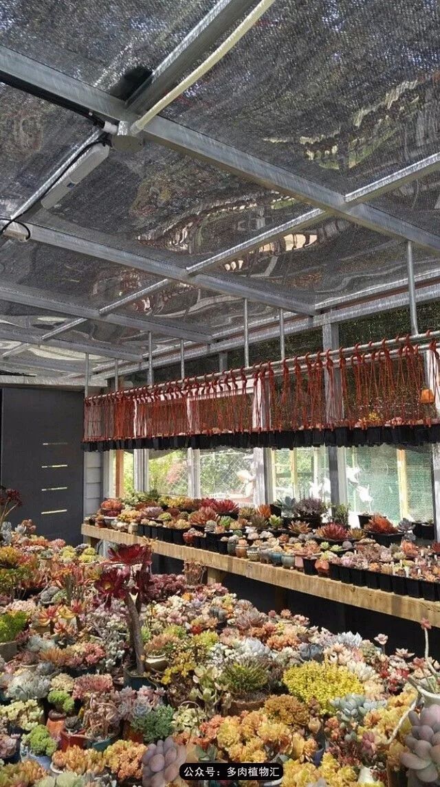 只有见过韩国肉友的阳台,才知道什么叫做物尽其用!