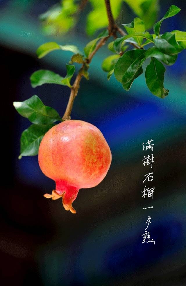 南湖秋分丨别有微凉处,入眼已秋分