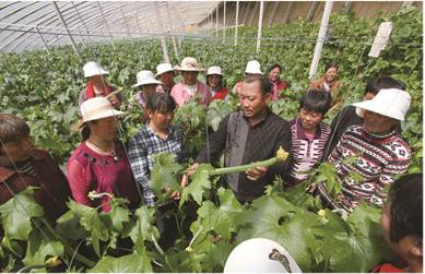 巾帼心向党喜迎二十大齐鲁女性,喜迎十九大齐鲁女性在行动临沂篇