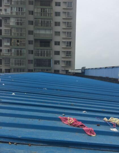 嘉鱼山湖壹号事件,嘉鱼县违建