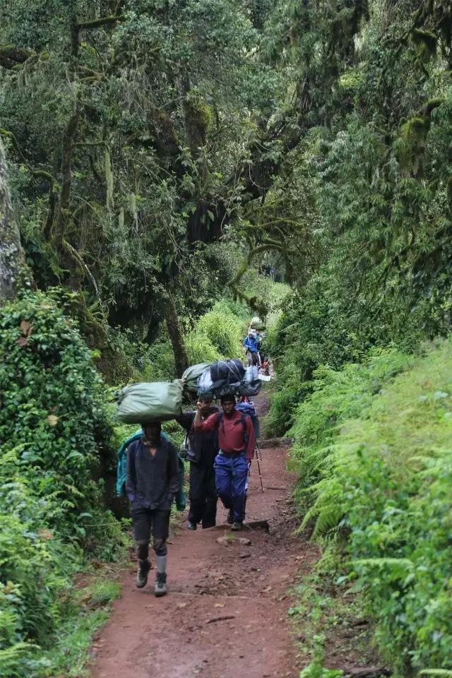 BLACKYAK牛人牛队|登顶“非洲之巅”