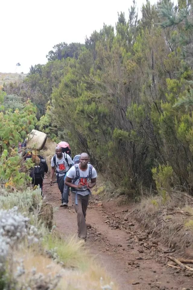 BLACKYAK牛人牛队|登顶“非洲之巅”
