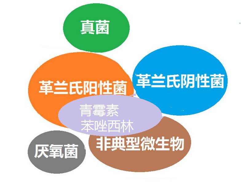 看图“话”抗菌谱，赶紧收藏！