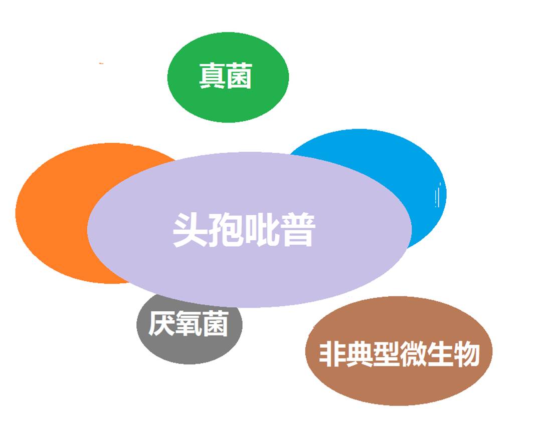 看图“话”抗菌谱，赶紧收藏！