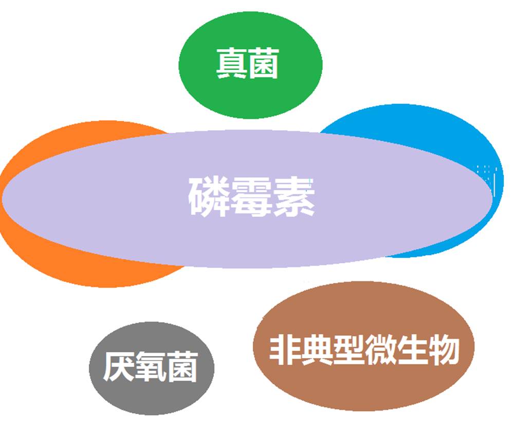 看图“话”抗菌谱，赶紧收藏！