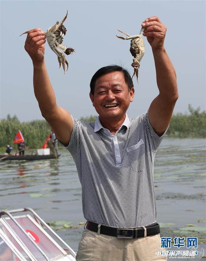 苏州实惠型阳澄湖大闸蟹哪个好,全国大闸蟹品牌排行榜
