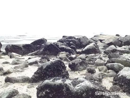 除了吉隆坡，13个马来西亚必去目的地，每个都值得一去！