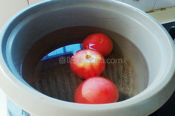 番茄炖排骨汤教学视频,番茄炖排骨汤孕妇能吃吗