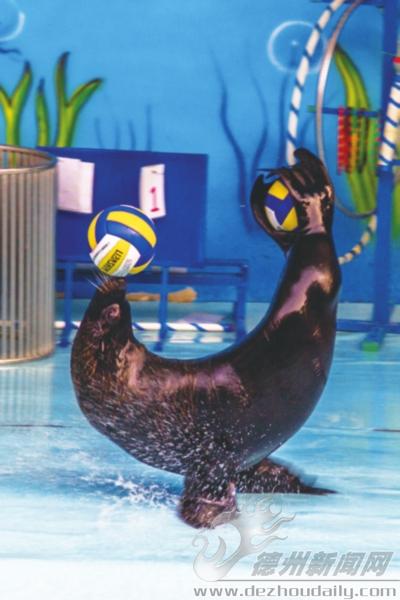 德州动植物园刚开园时间,德州动植物园人流量怎么样