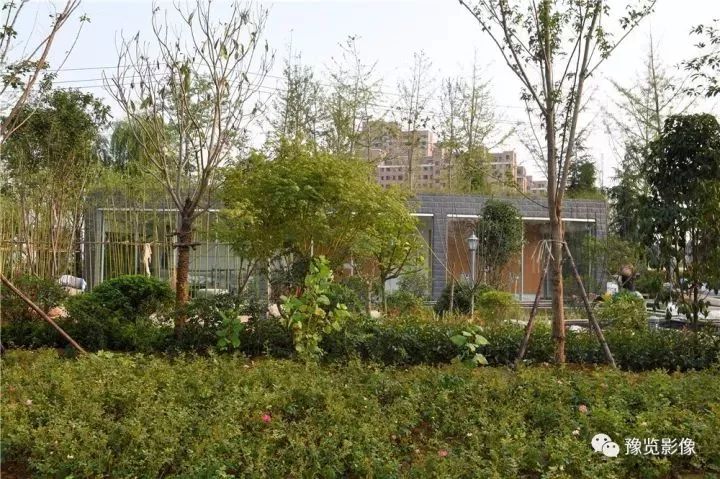 园博园优美的风景值得欣赏,园博园最好看的是哪几个园