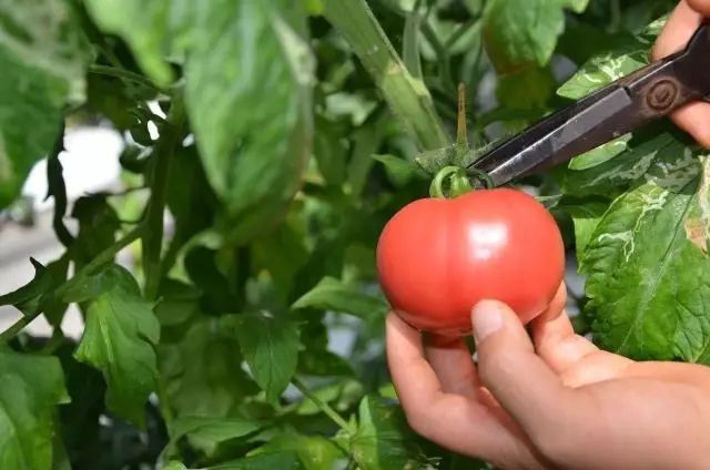 临河适合带小朋友去的地方,亲子福利免费活动