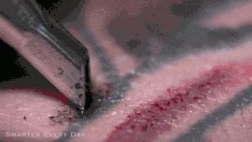 纹身油墨对人体的危害,纹身墨水涂在身上有什么危害