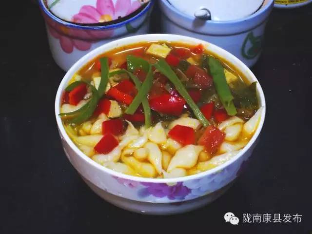 「相约康县」山水间歌声回荡,烟波里久违的故乡