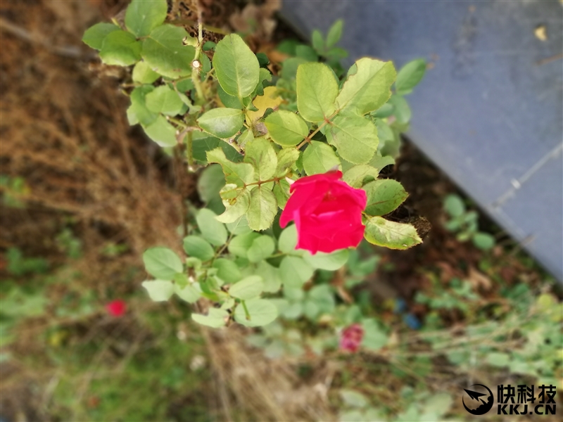 华为新机麦芒9测评,华为最新款手机mate10