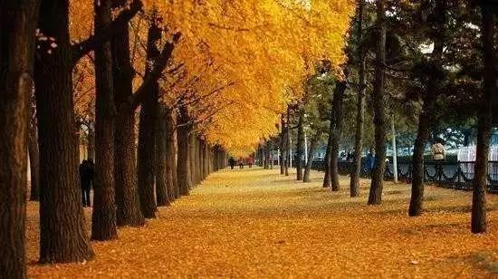 郁达夫故都的秋全文,郁达夫故都的秋