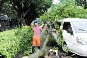 「微提醒」双节出行雨量较多河南交警提醒您安全驾驶