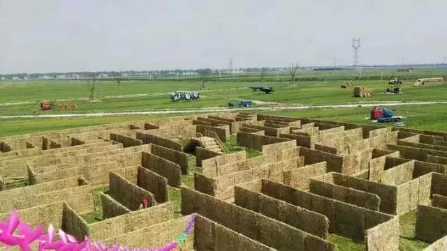 荆州马山稻田迷宫,稻田迷宫大赛时间