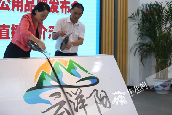 天生云阳2023特色农产品年货展销,云阳县江口镇农特产品展销会