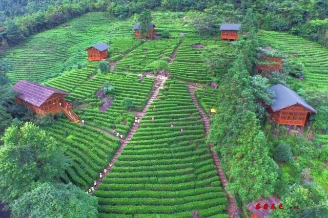 贺州姑婆山旅游攻略,广西贺州姑婆山一天游