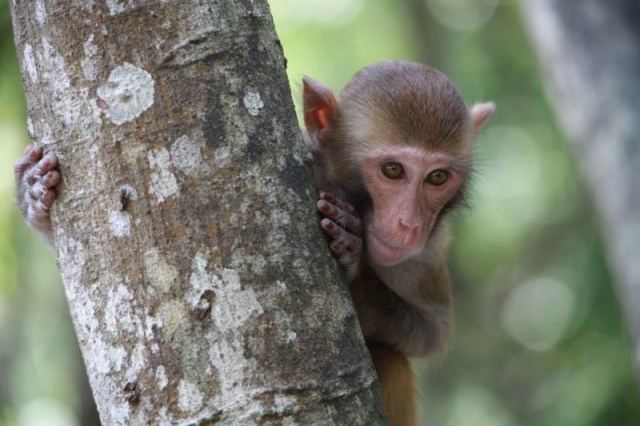 贺州姑婆山旅游攻略,广西贺州姑婆山一天游