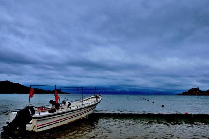 早读社︱浙企携手阿里代购*口车进**竟比4S店便宜35%