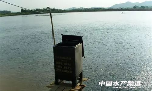 跑鱼炸窝处理方法,鱼块炸黑了怎么补救最快