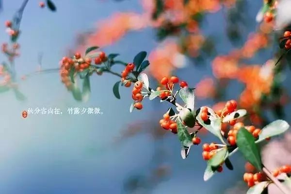 南湖秋分丨别有微凉处,入眼已秋分