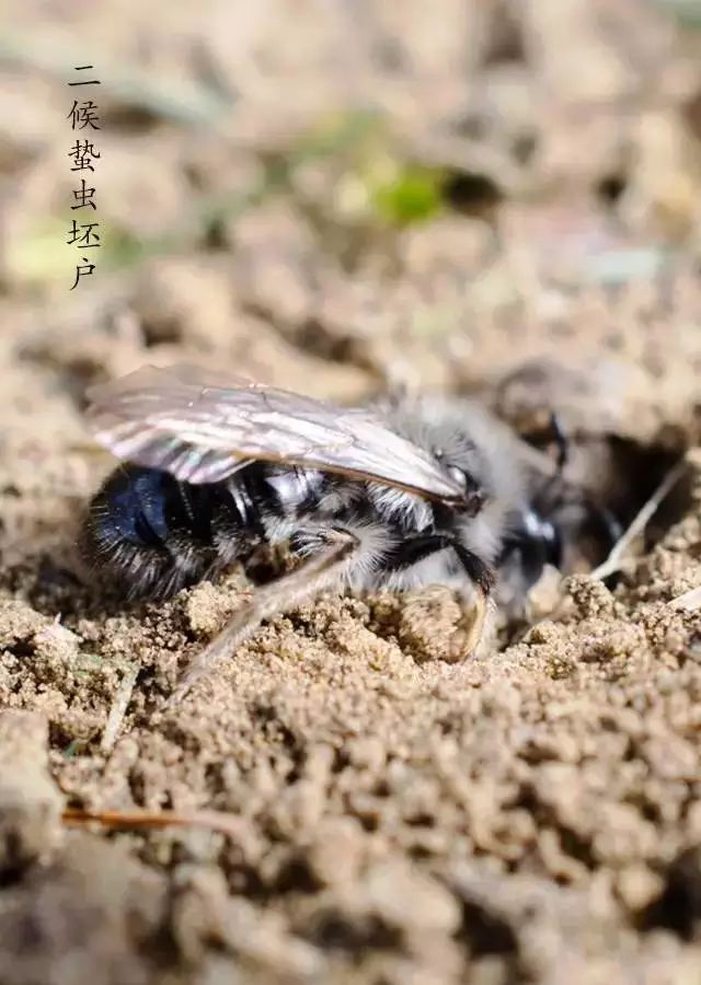 南湖秋分丨别有微凉处,入眼已秋分