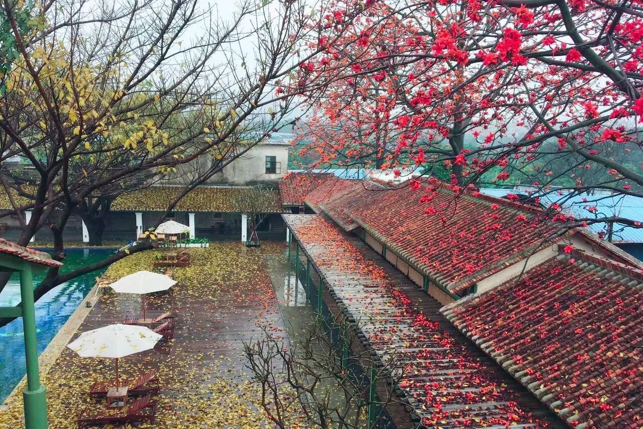 70后文艺大叔跑到这个“会吃福建人”的城市,用花砖、雪茄和伏特加,把废弃的修船厂变成最会撩妹的床