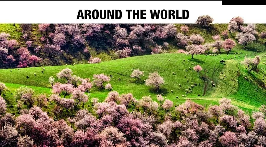 除了买买买还能干什么,除了买买买还能干啥