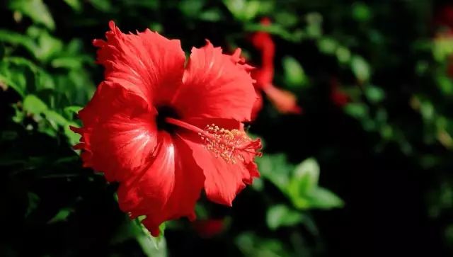 娜扎护肤技巧怎么样啊,娜扎护肤手法