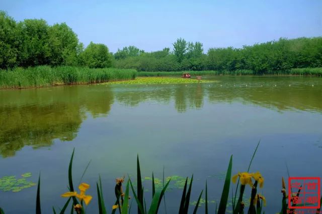 北京最好的草原湿地公园,北京的湿地公园都有哪些