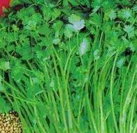 早上嘴巴苦是不是肝有问题,早上嘴苦是肝的问题还是胆的问题