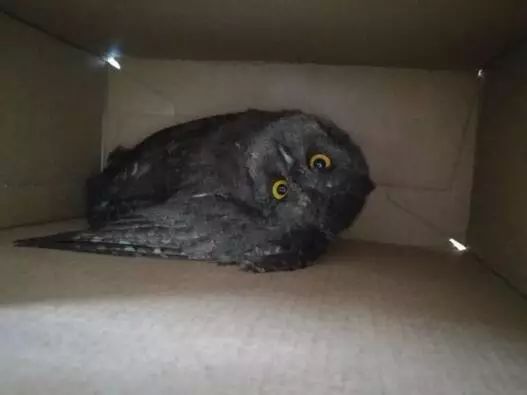 一男子怀疑老婆与人有染,男子疑妻与人有染杀8人