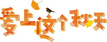 乐游｜国庆不出门的，来沈阳这些最美看书圣地，装文艺，玩自拍，看猫咪……都能满足你~