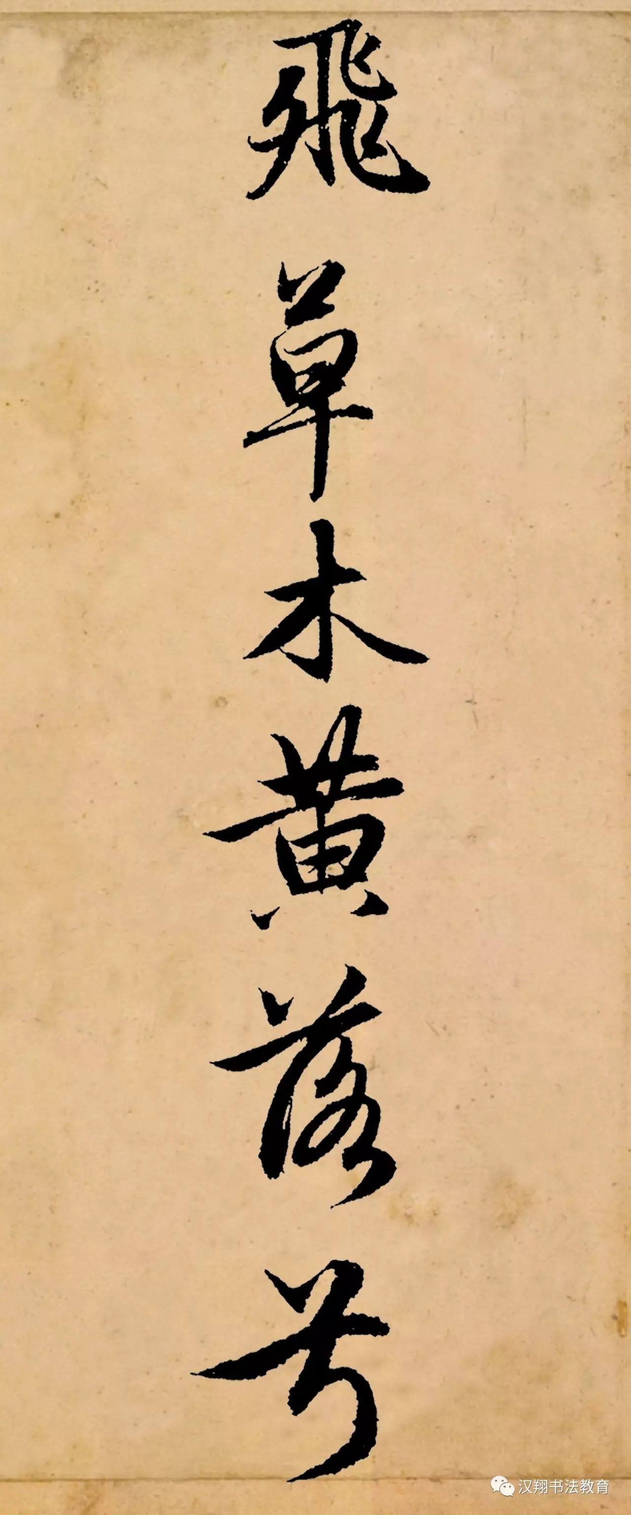 用尽全部力量和智慧的成语,用尽了全部的智慧和力量