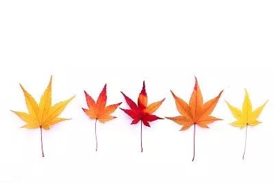 在青岛，没人能够战胜天气