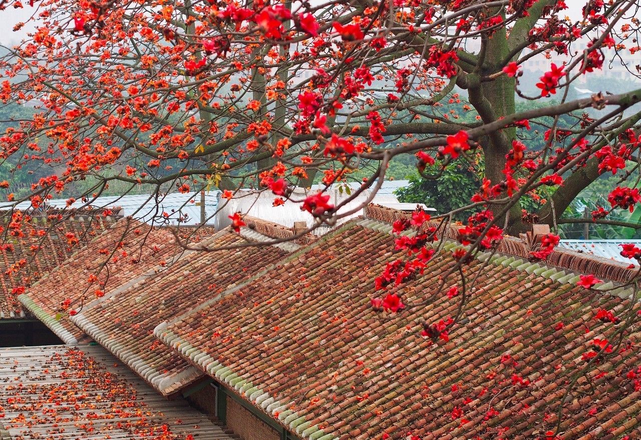 70后文艺大叔跑到这个“会吃福建人”的城市,用花砖、雪茄和伏特加,把废弃的修船厂变成最会撩妹的床