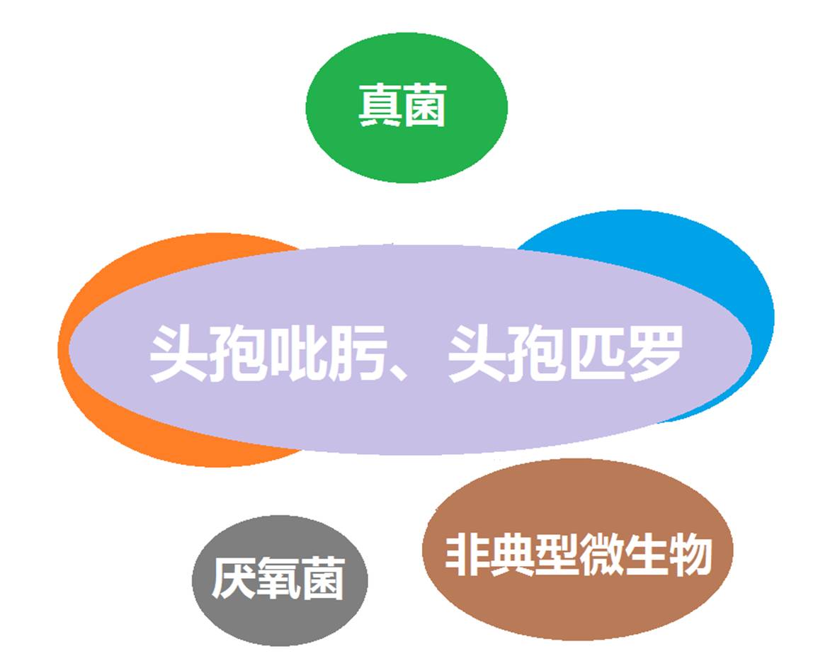 看图“话”抗菌谱，赶紧收藏！