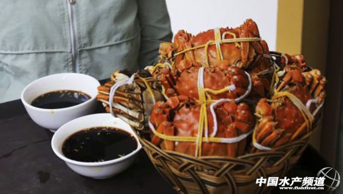 苏州实惠型阳澄湖大闸蟹哪个好,全国大闸蟹品牌排行榜