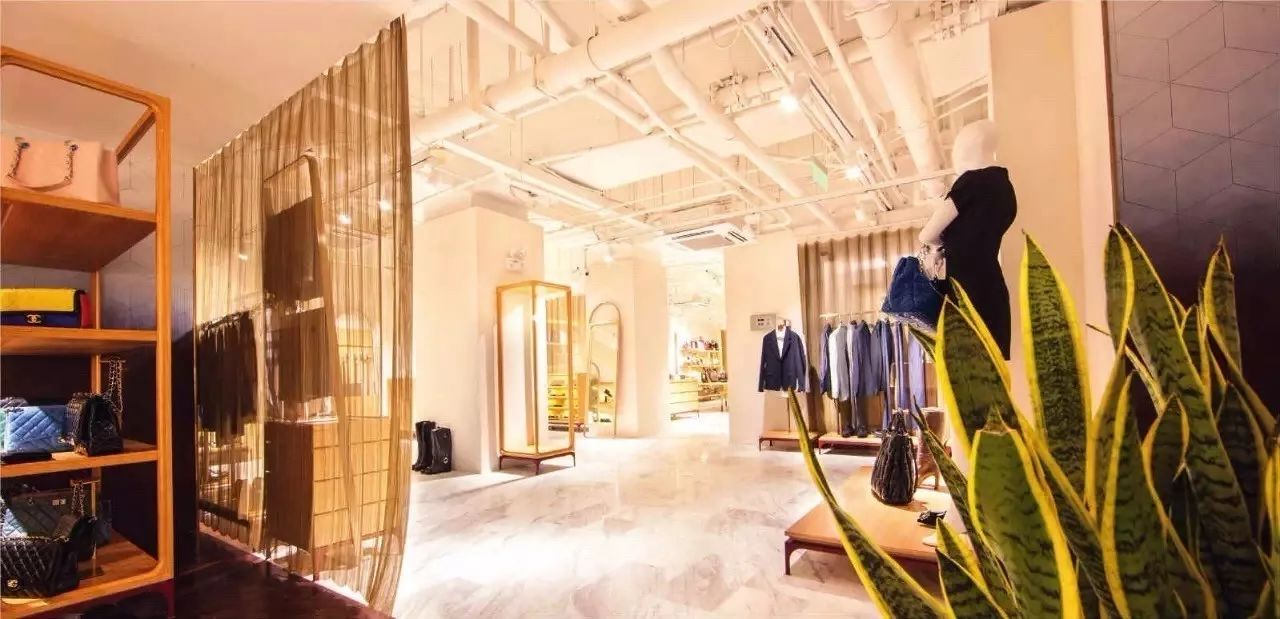 九年磨一剑，慢样本寺库出线了