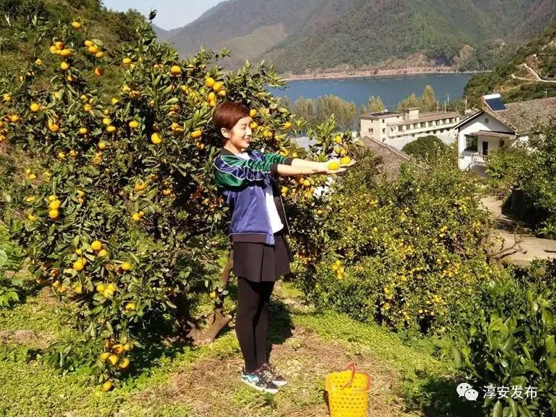 千岛湖最美的别墅,千岛湖景色最好的酒店或民宿