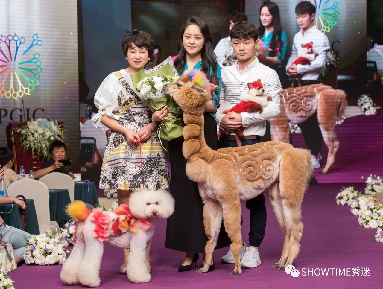 第五届宠物美容师大会,智选大会