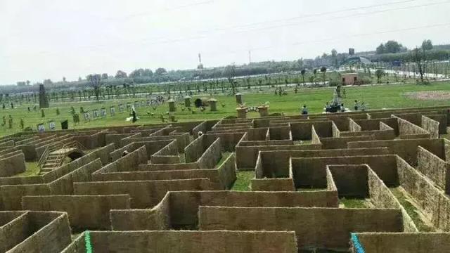 荆州马山稻田迷宫,稻田迷宫大赛时间