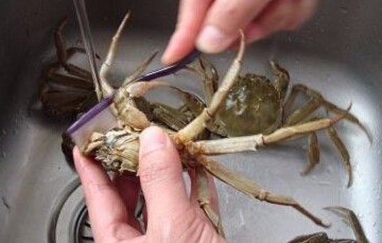 洗螃蟹怎么不被夹,被熟螃蟹扎到怎么处理伤口