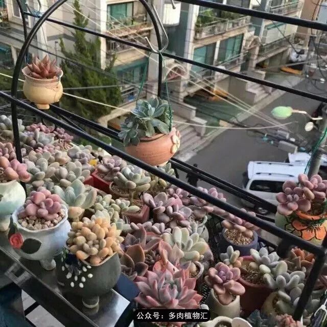 只有见过韩国肉友的阳台,才知道什么叫做物尽其用!