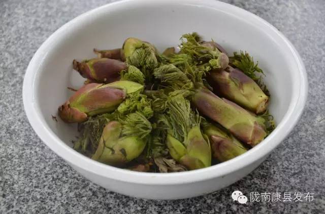 「相约康县」山水间歌声回荡,烟波里久违的故乡