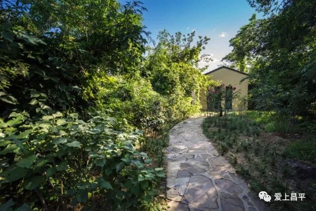 北京昌平十三陵民宿推荐,昌平民宿独立小院20人