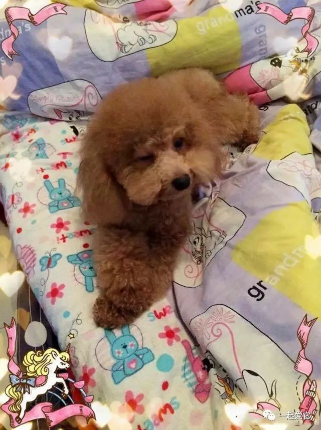 宠爱故事完整版,宠爱背景故事